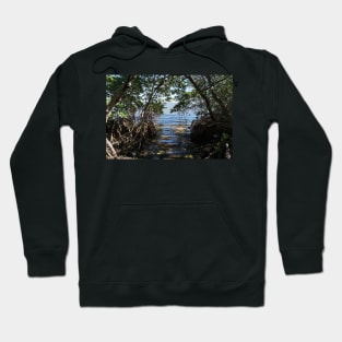 Water in Mangrove Clearing Hoodie